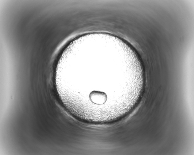 X0000084581502200703161731