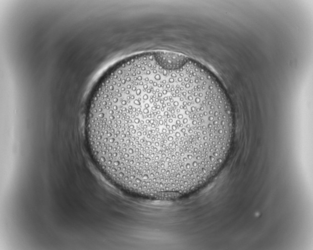 X0000084581503200703161731