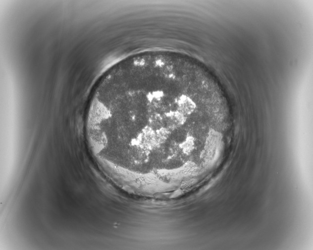 X0000084581505200703161731