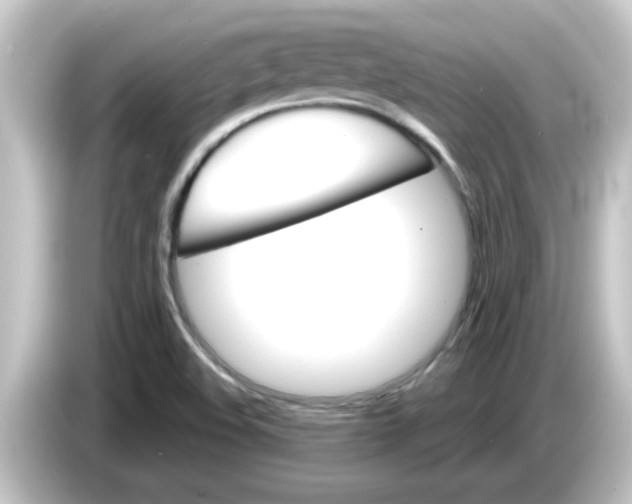 X0000084581508200703161731