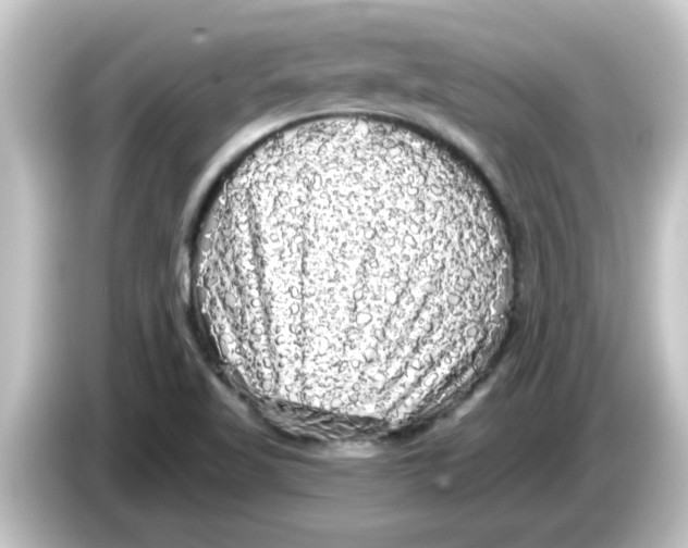 X0000084581509200703161731