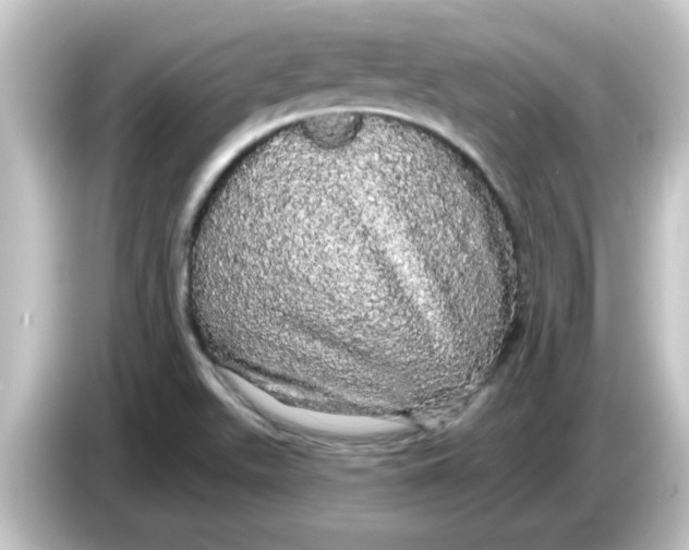 X0000084581511200703161731