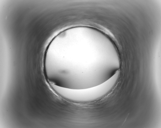 X0000084581512200703161731
