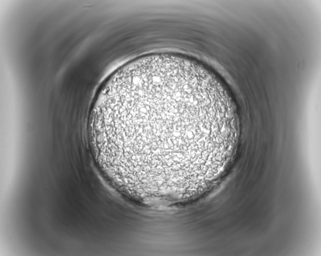 X0000084581513200703161731