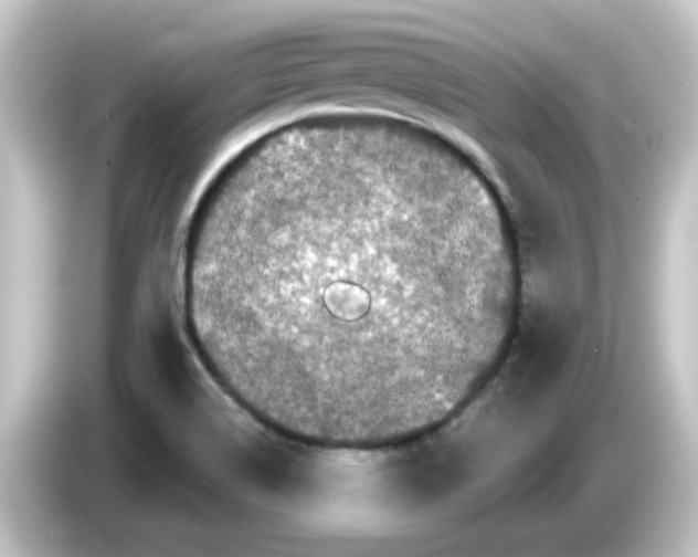 X0000084581514200703161731