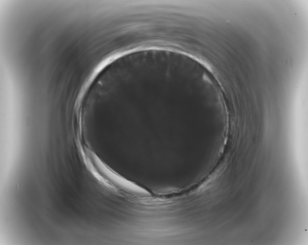 X0000084581515200703161731
