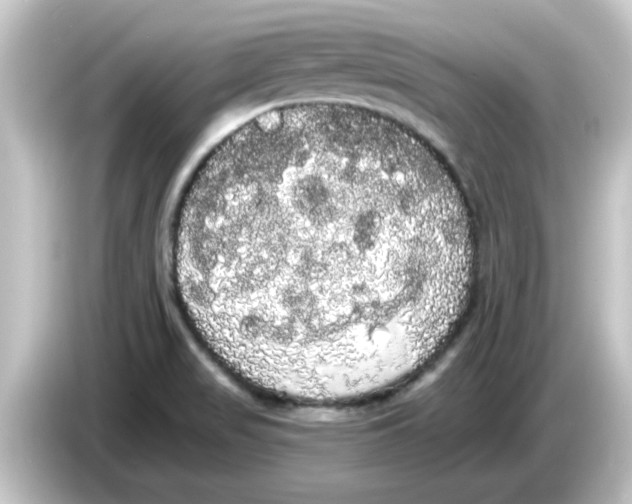 X0000084581517200703161731