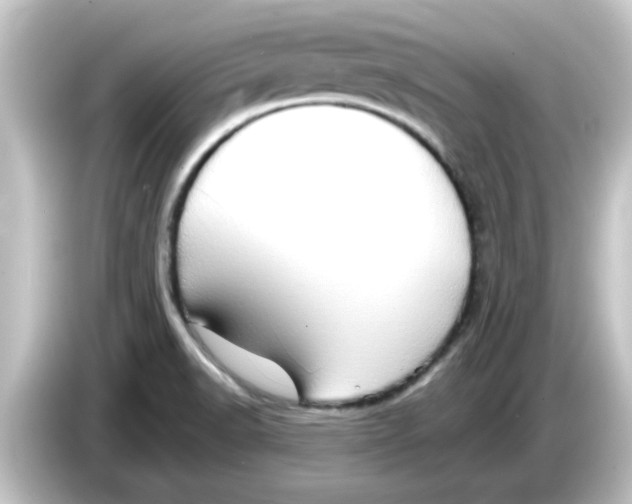 X0000084581518200703161731