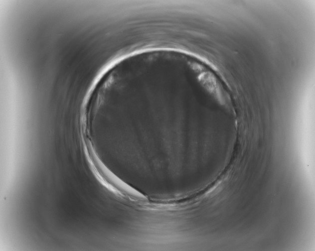 X0000084581519200703161731