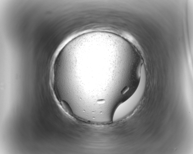 X0000084581520200703161731