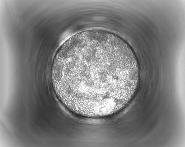 X0000084581521200703161731