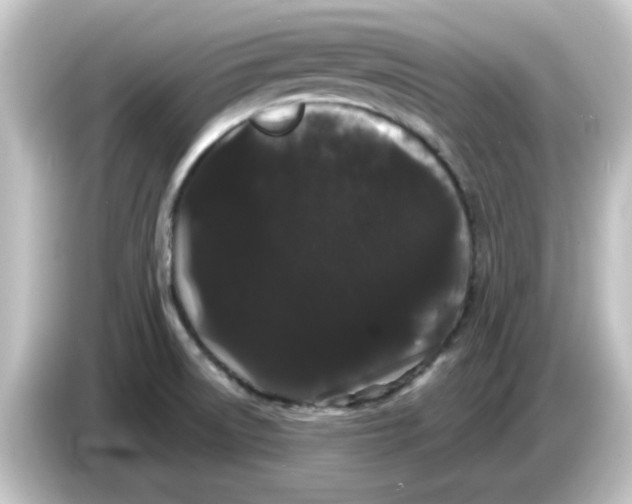 X0000084581522200703161731