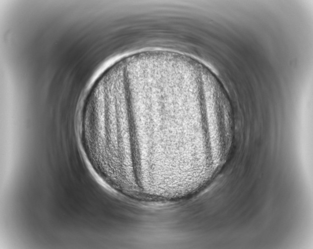 X0000084581523200703161731