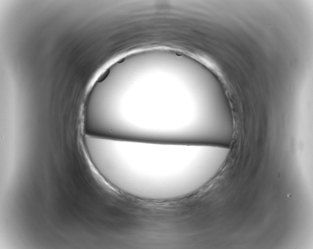 X0000084581524200703161731
