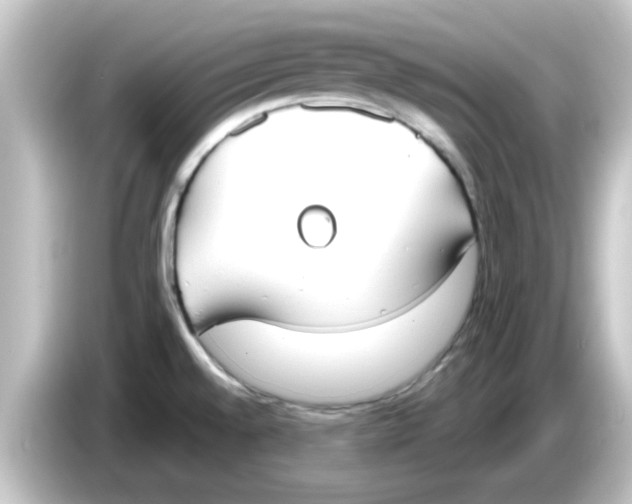 X0000084581528200703161731