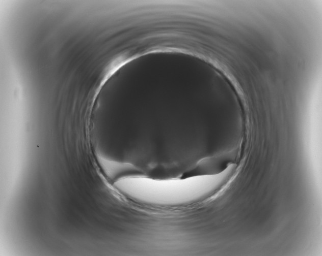 X0000084581529200703161731