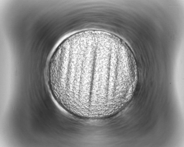 X0000084581531200703161731
