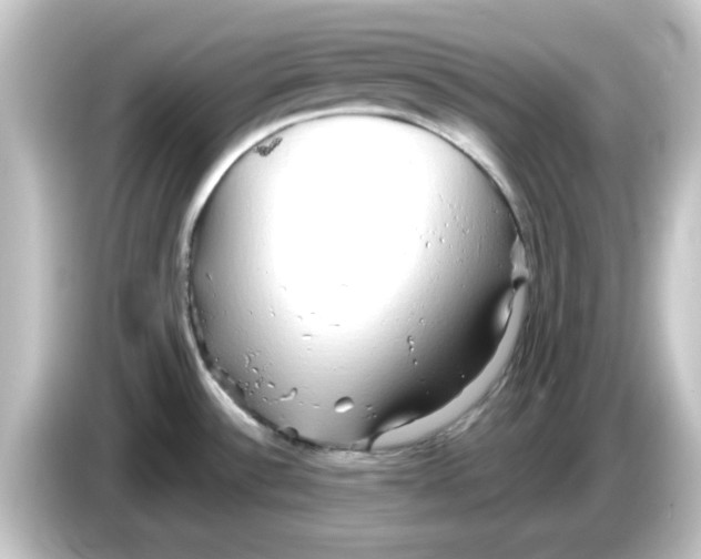 X0000084581532200703161731