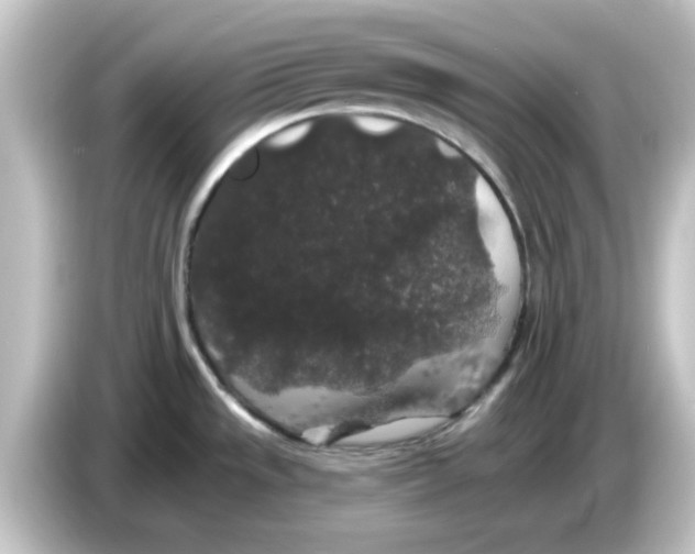 X0000084581533200703161731