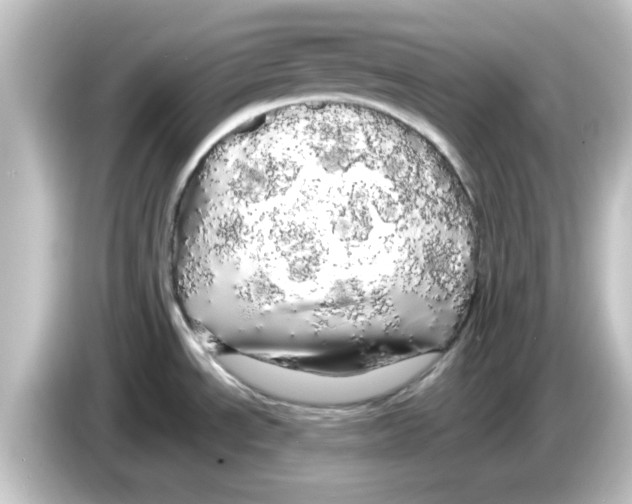X0000084581534200703161731
