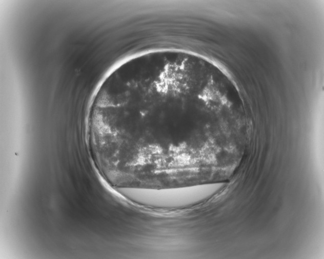 X0000084581535200703161731