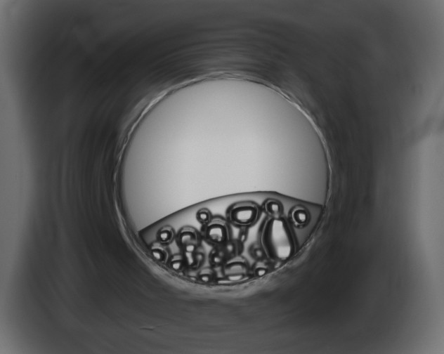 X0000084580001200703231853