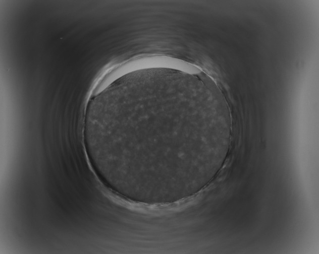 X0000084580003200703231853