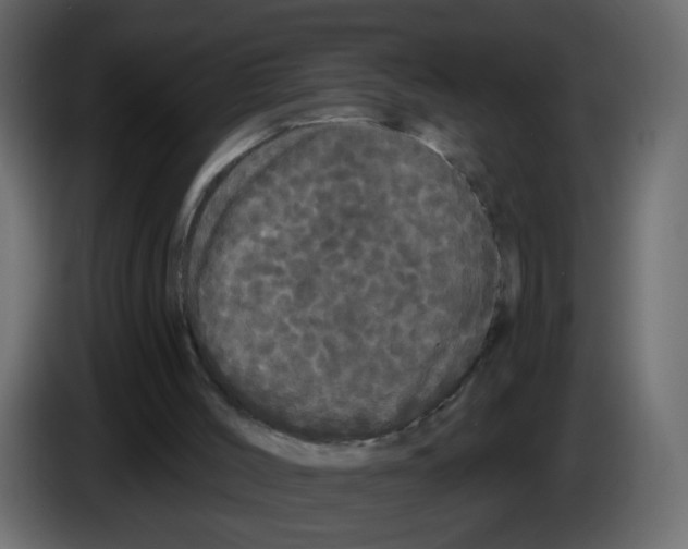 X0000084580004200703231853