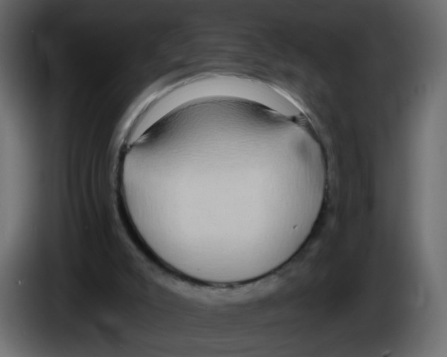 X0000084580007200703231853