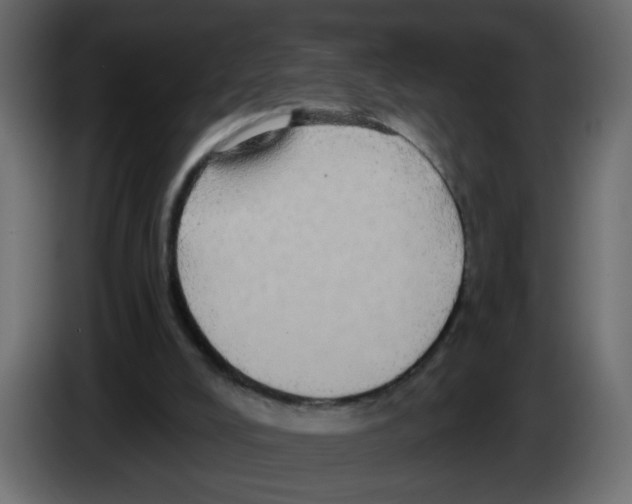 X0000084580008200703231853