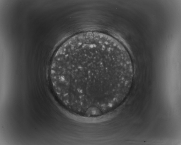 X0000084580010200703231853