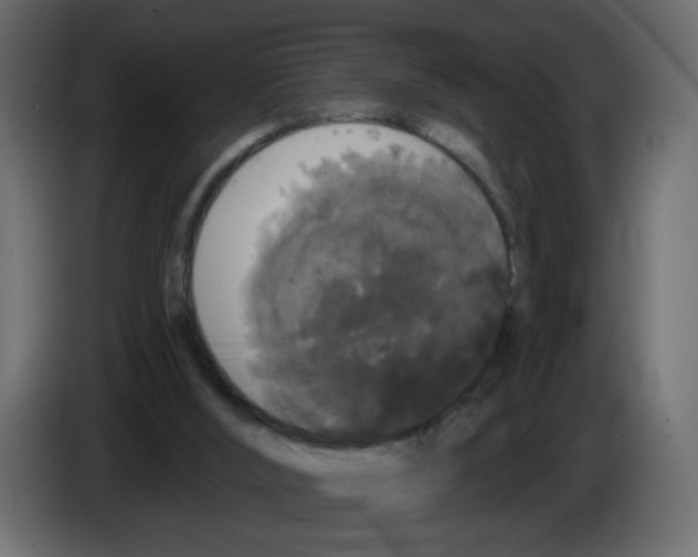 X0000084580012200703231853