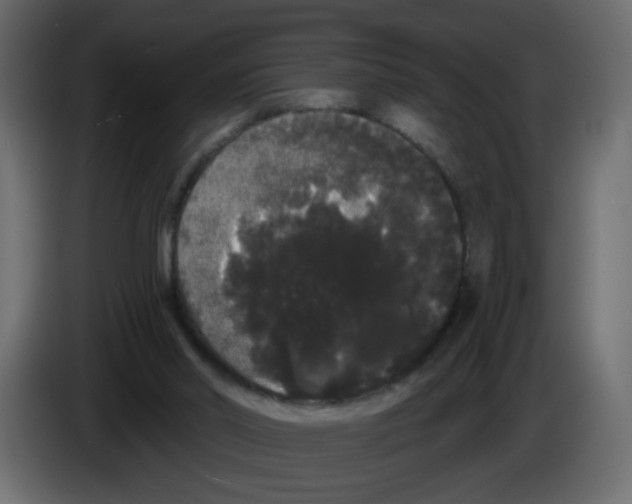 X0000084580014200703231853