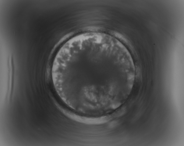 X0000084580016200703231853