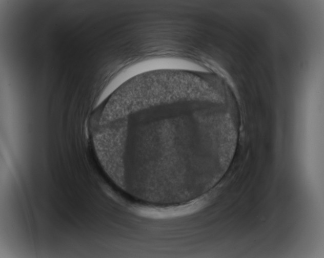 X0000084580017200703231853