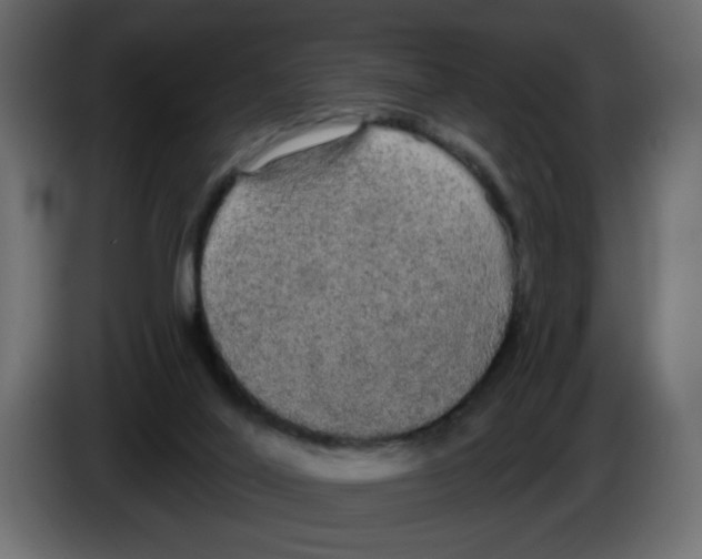 X0000084580020200703231853