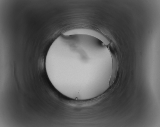 X0000084580021200703231853