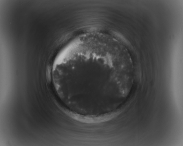 X0000084580022200703231853