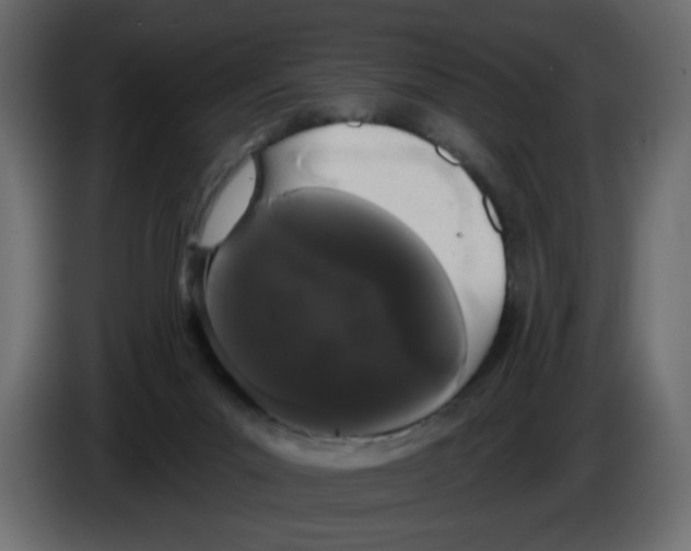 X0000084580023200703231853