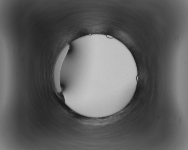 X0000084580025200703231853