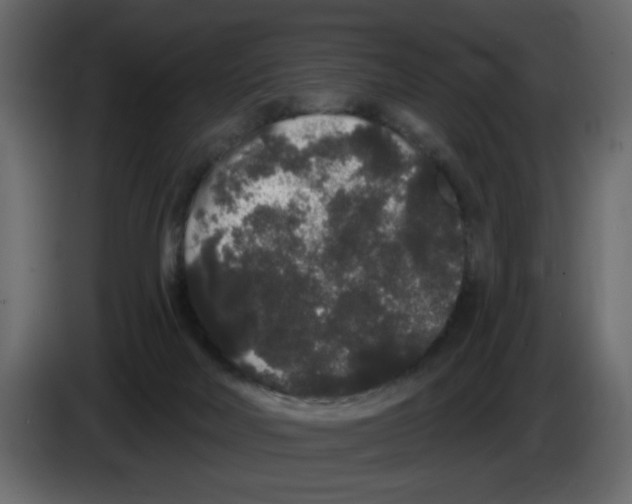 X0000084580026200703231853