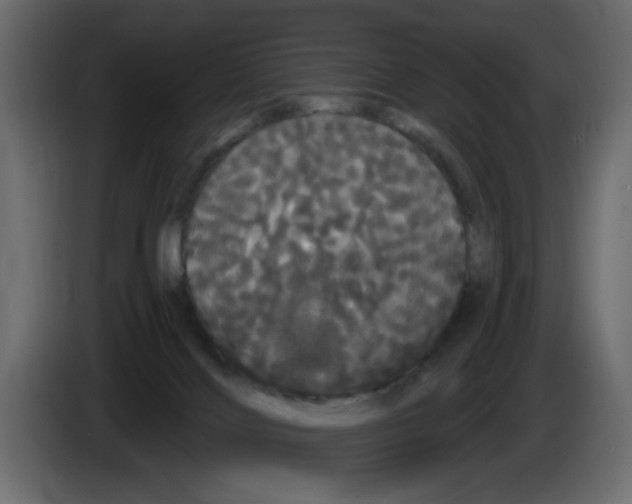 X0000084580028200703231853
