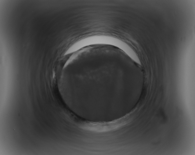 X0000084580029200703231853