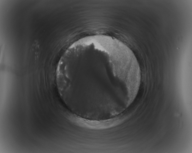 X0000084580030200703231853