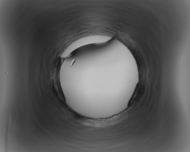 X0000084580033200703231853