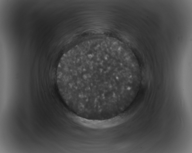 X0000084580034200703231853