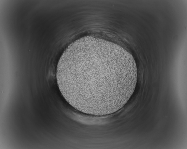 X0000084580040200703231853