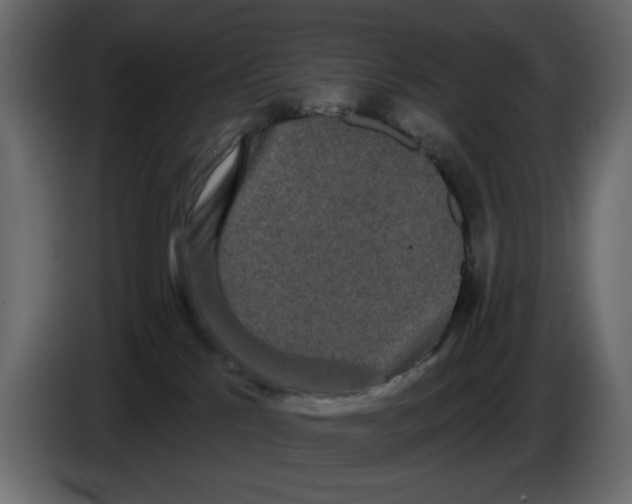 X0000084580041200703231853