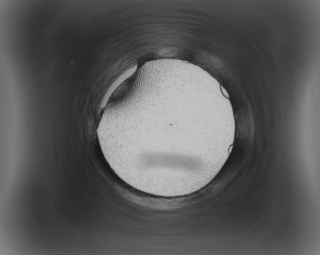 X0000084580044200703231853