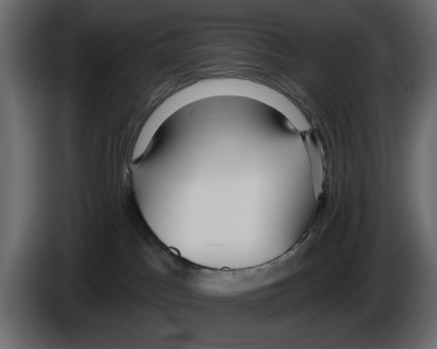 X0000084580045200703231853
